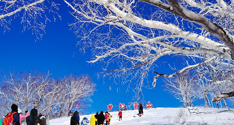 【去野大东北·东北环线经典7日】哈尔滨+雪乡+梦幻雪山+长白山+镜泊湖+亚雪公路+雾凇长廊+滑雪场玩+雪山轻徒步+丰富东北民俗体验+2-28人舒适大巴团丨