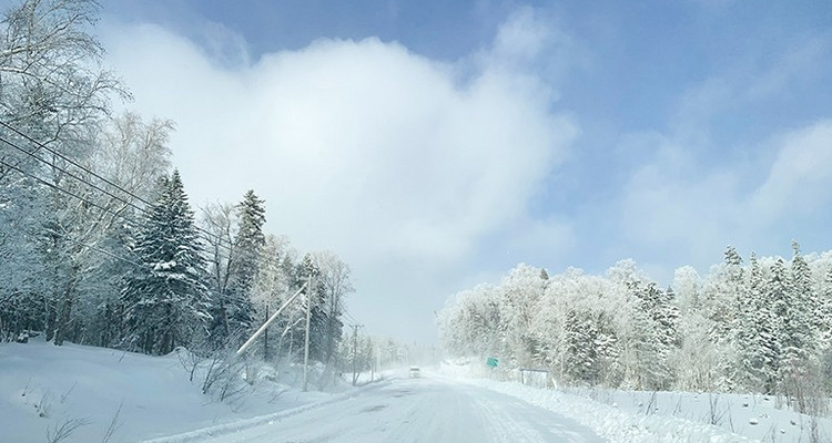 【去野大东北·东北环线经典7日】哈尔滨+雪乡+梦幻雪山+长白山+镜泊湖+亚雪公路+雾凇长廊+滑雪场玩+雪山轻徒步+丰富东北民俗体验+2-28人舒适大巴团丨