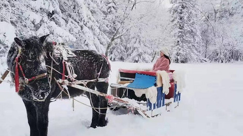 【去野大东北·东北环线经典7日】哈尔滨+雪乡+梦幻雪山+长白山+镜泊湖+亚雪公路+雾凇长廊+滑雪场玩+雪山轻徒步+丰富东北民俗体验+2-28人舒适大巴团丨