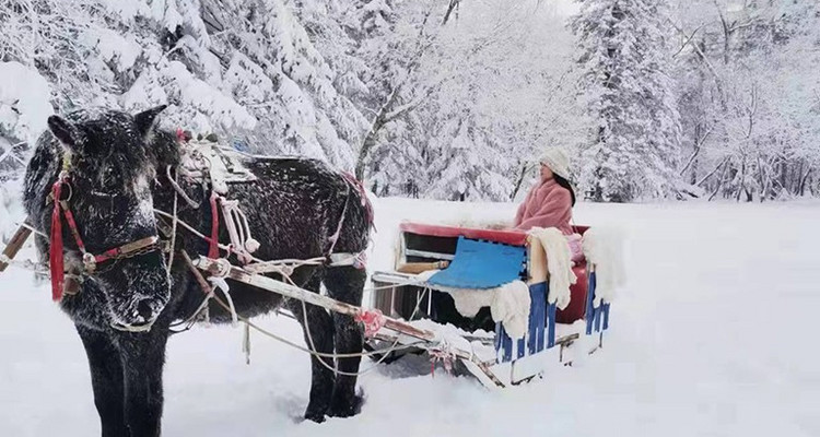 【去野大东北·东北环线经典7日】哈尔滨+雪乡+梦幻雪山+长白山+镜泊湖+亚雪公路+雾凇长廊+滑雪场玩+雪山轻徒步+丰富东北民俗体验+2-28人舒适大巴团丨