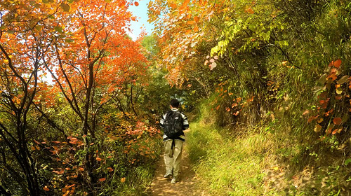 【西安一周一山·圭峰山红叶尾巴】特惠68会员48+错峰周内赏秋看红叶+9公里户外徒步路线