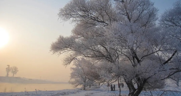 【冰雪梦幻·“吉”致北国10日】滑雪+温泉+冬捕+雾凇奇观+东北“小韩国”；登上北国列车，冬季一路找北漠河之旅