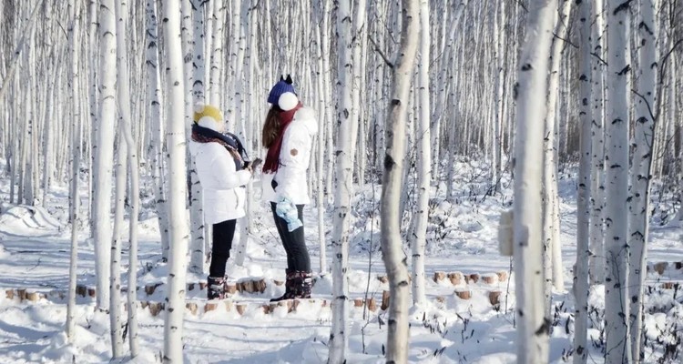 【冰雪梦幻·“吉”致北国10日】滑雪+温泉+冬捕+雾凇奇观+东北“小韩国”；登上北国列车，冬季一路找北漠河之旅