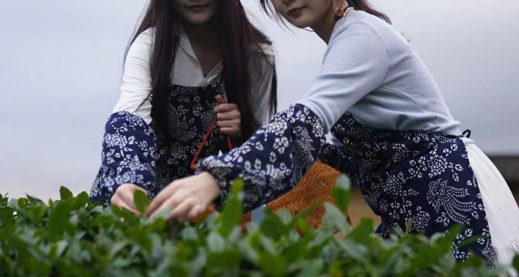 【初见厦门·漫游闽南4日】厦门+鼓浪屿+漳州土楼+云水谣+泉州西街+蟳埔村+非遗欣赏+开元寺+4天3晚探秘之旅+2-8人小包团