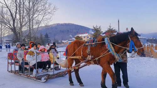 【冰雪梦幻·全景东北9日】哈尔滨9天8晚丨滑雪+雪地温泉+冬捕+雾凇奇观+登上北国列车，冬季一路找北漠河之旅