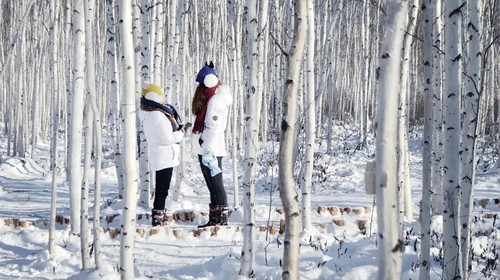 【冰雪梦幻·全景东北9日】哈尔滨9天8晚丨滑雪+雪地温泉+冬捕+雾凇奇观+登上北国列车，冬季一路找北漠河之旅