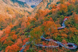 【光雾山·秦巴秋色6日】汉中+千年银杏+高江路+情人谷+狮子沟牧场+太子岭+黎平国家森林公园+十八月潭+光雾山+米仓山+天然画廊+香炉山+黑熊沟+大小兰沟+龙头山2-8人私家团