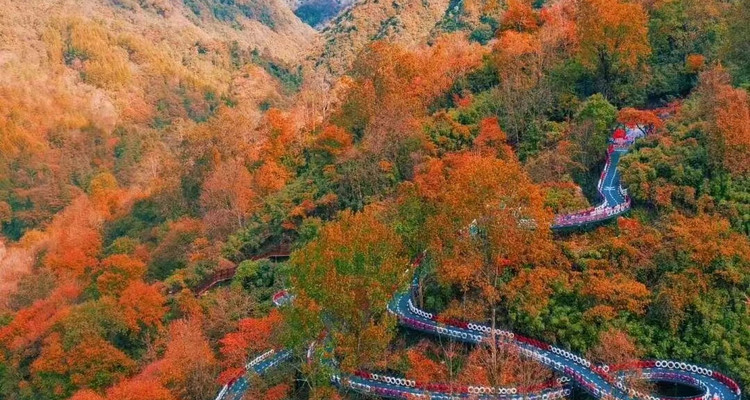 【遇见光雾山·深度摄影6日】10人旅拍团+西安出发+专业摄影师+无人机航拍+光雾山全天畅玩+香炉山云海+黎坪国家森林公园+黑熊沟+大小兰沟+十八月潭+狮子沟牧场+龙头山+深度摄影休闲6日游
