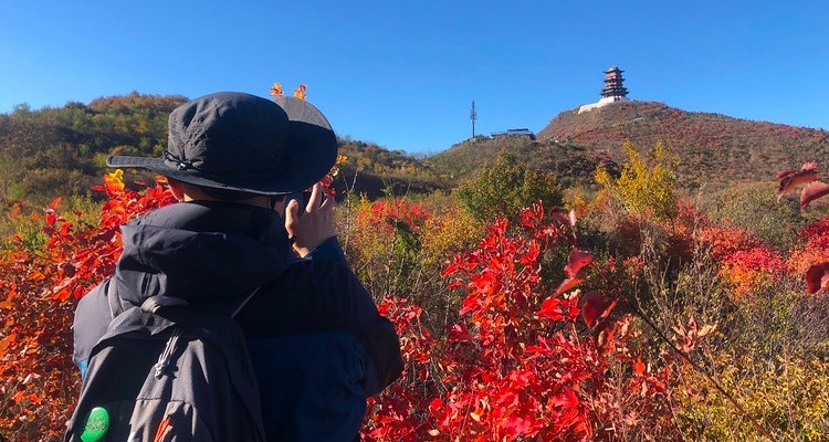 【北京100公里山野·万桑古道站】18公里徒步丨中级难度-小众路线+观定都阁+访潭柘寺+看红叶满山