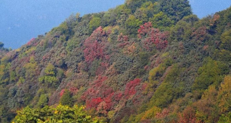 【西安一周一山·五道梁穿越尖山】15公里徒步+赏山间秋色·寻山野秋景