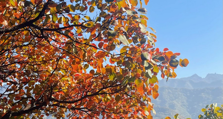 【西安一周一山·西寺沟 】捡红叶赏秋景+11公里徒步+穿越路线