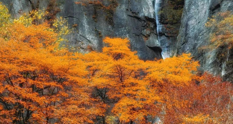 【西安一周一山·太平森林公园】观彩虹瀑布+登高赏秋红