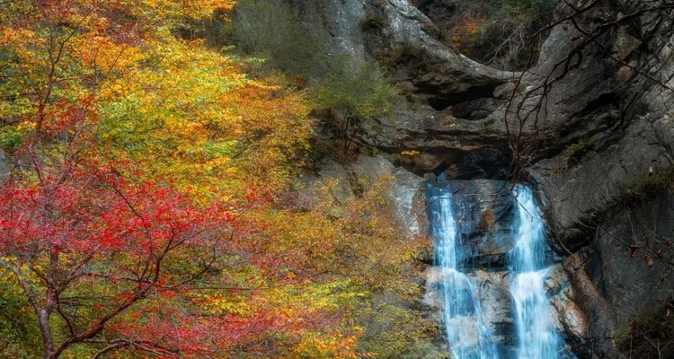 【西安一周一山·太平森林公园】观彩虹瀑布+登高赏秋红