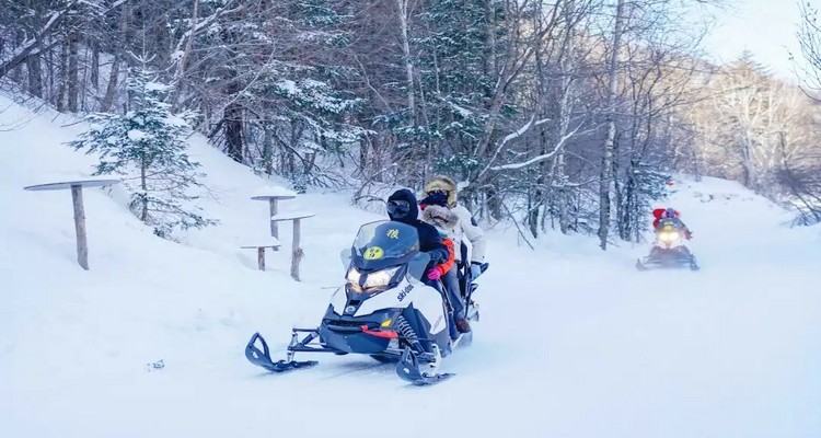 【冰雪梦幻·海参崴7日】哈尔滨市+雪乡+梦幻雪山徒步+网红雪地摩托+棒槌山观光栈道+东宁+城市citywalk+托卡内夫灯塔+海边日落+百年老街+玻璃海滩+托比津纳海角+绥芬河+海参崴7天6晚！