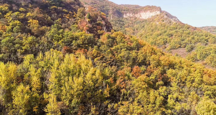 【北京一周一山·石虎线】10公里初级徒步丨漫步小众原生态山谷+赏秋摘野果