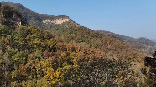 【北京一周一山·石虎线】10公里初级徒步丨漫步小众原生态山谷+赏秋摘野果