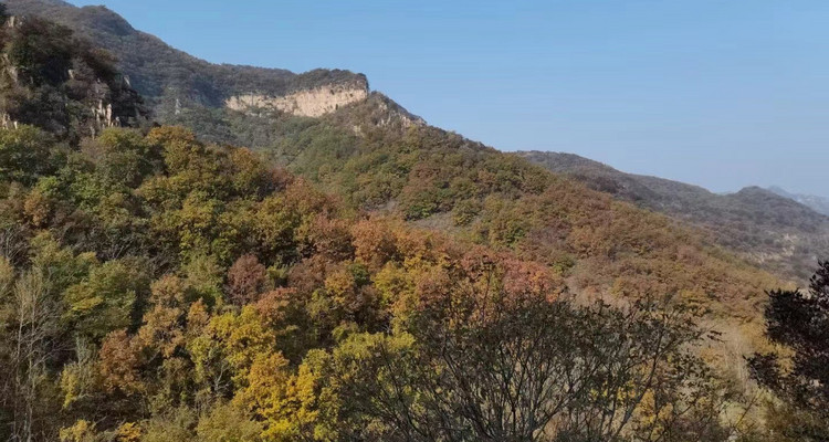 【北京一周一山·石虎线】10公里初级徒步丨漫步小众原生态山谷+赏秋摘野果