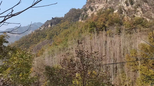【北京一周一山·石虎线】10公里初级徒步丨漫步小众原生态山谷+赏秋摘野果