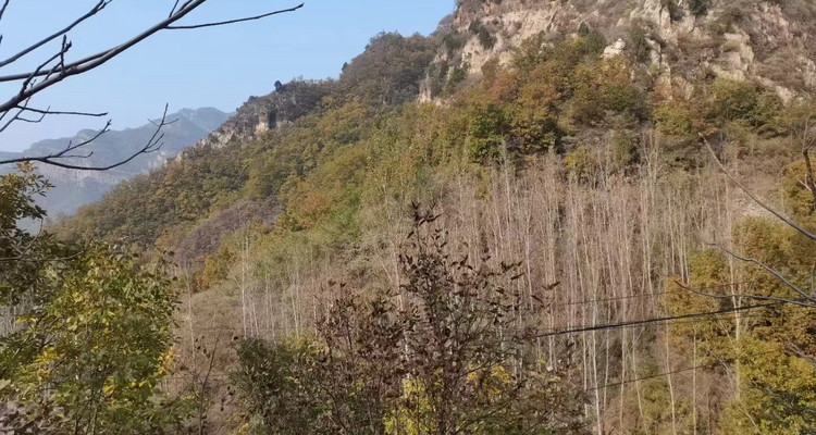 【北京一周一山·石虎线】10公里初级徒步丨漫步小众原生态山谷+赏秋摘野果
