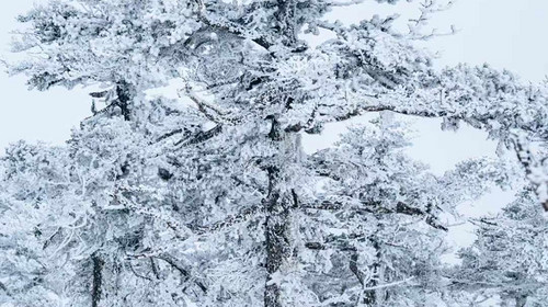 【西安一周一山·东梁·户外强驴路线】21公里徒步+高级难度+登顶2964领略秦岭风光