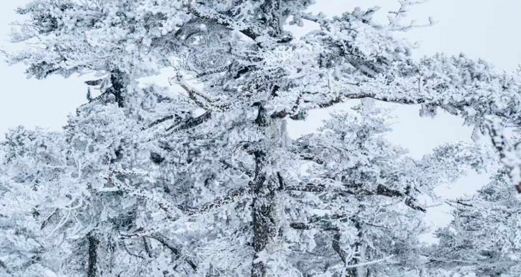 【西安一周一山·东梁·户外强驴路线】21公里徒步+高级难度+登顶2964领略秦岭风光