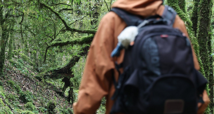 【又见云南 · 云南虫谷7日】哀牢山秘境+翁丁原始部落+西盟龙摩爷+音乐老达保+景迈山古茶园+翁基古寨+糯干古寨+景真八角亭+7天6晚