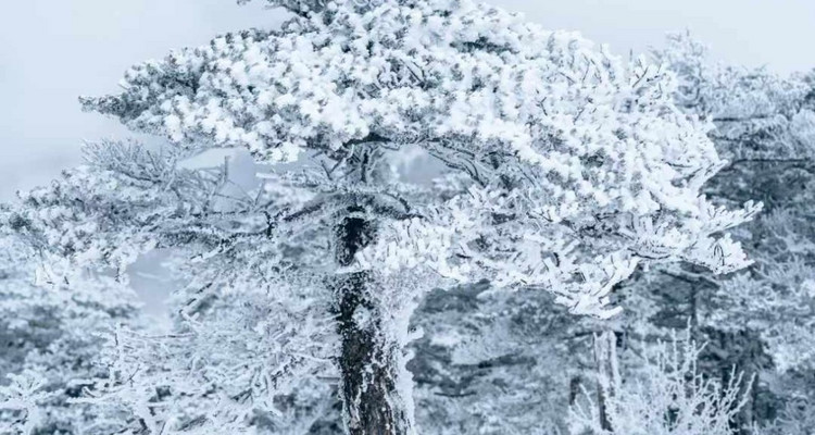 【西安一周一山·东梁·户外强驴路线】21公里徒步+高级难度+登顶2964领略秦岭风光
