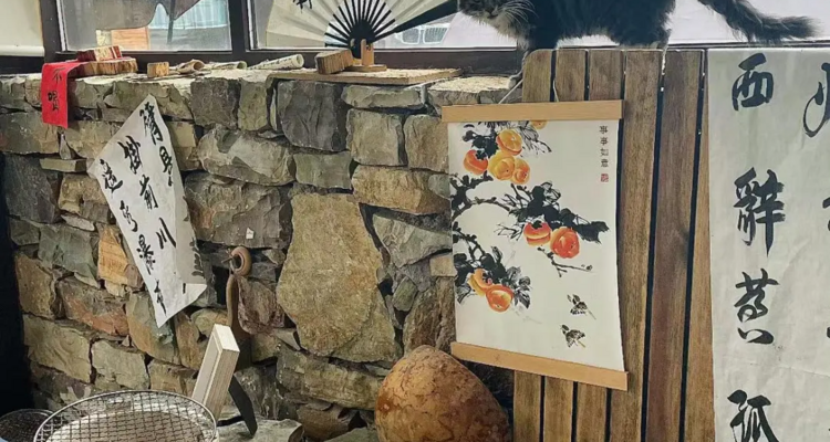 【北京一周一山·独乐寺】打卡黑神话·悟空取景地+独乐寺与西井峪的文化与自然探索之旅