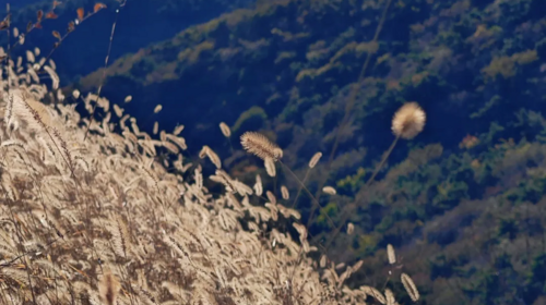 【北京一周一山·翠屏湖】探秘翠屏湖，解锁心中的诗意与远方~