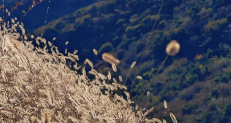 【北京一周一山·翠屏湖】探秘翠屏湖，解锁心中的诗意与远方~