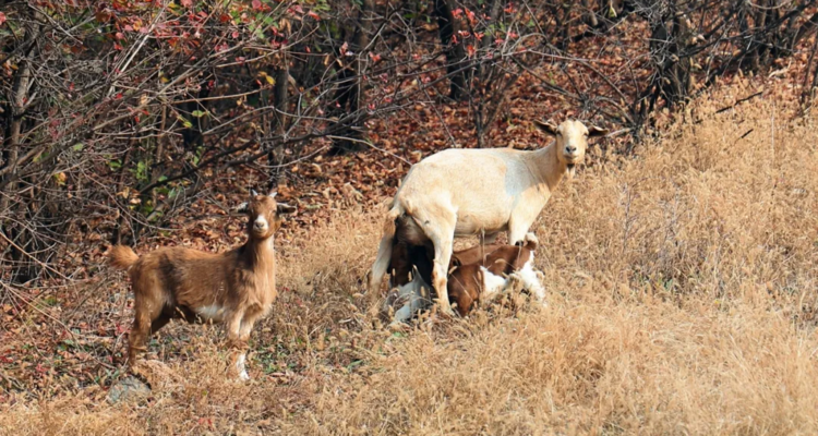 【北京一周一山·翠屏湖】探秘翠屏湖，解锁心中的诗意与远方~