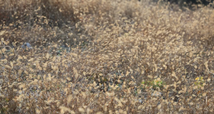 【北京一周一山·翠屏湖】探秘翠屏湖，解锁心中的诗意与远方~