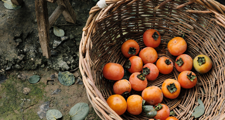 【北京一周一山·三皇山】打卡三皇圣地+探秘北方喀斯特地貌的徒步之旅！