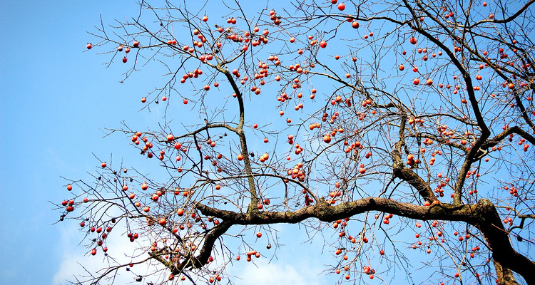 【北京一周一山·三皇山】打卡三皇圣地+探秘北方喀斯特地貌的徒步之旅！