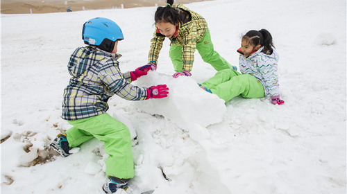 【邂逅内蒙·别样青城4日】呼和浩特+雪韵希拉穆仁草原+乌兰哈达火山+大召寺+内蒙古博物院+青城奶站+2-6人散拼&私家团！
