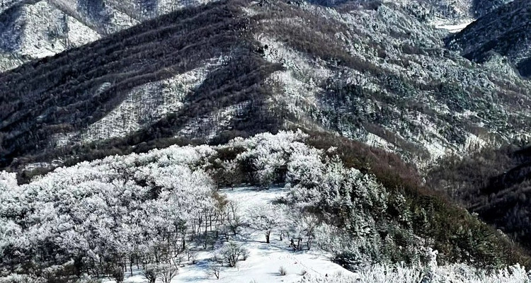 【西安一周一山·冻山】13公里+打卡冻山绝顶邂逅大草甸