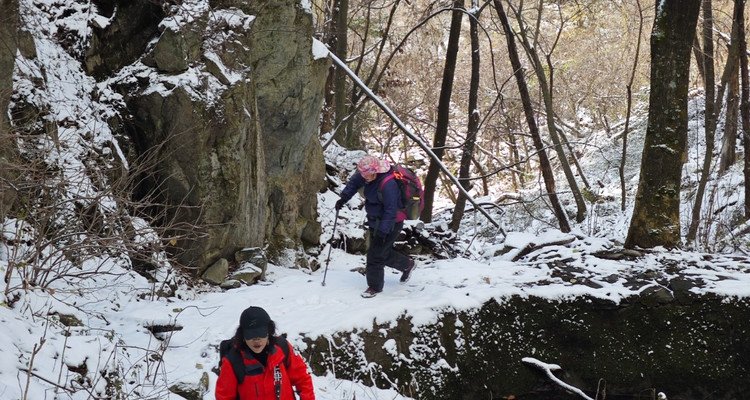 【秘境中原·探秘5日】徒步仙境老君山+攀登中岳嵩山巅+龙门石窟千年韵+少林寺武术传+风穴寺古刹寻幽