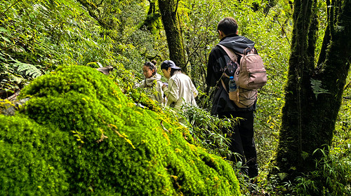 【行走云南 · 哀牢山秘境5日】昆明+哀牢山+元阳梯田+南恩瀑布+建水古城5日