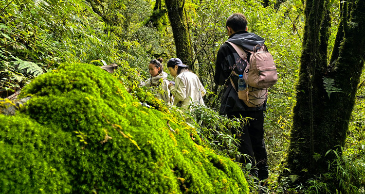 【行走云南 · 哀牢山秘境5日】昆明+哀牢山+元阳梯田+南恩瀑布+建水古城5日