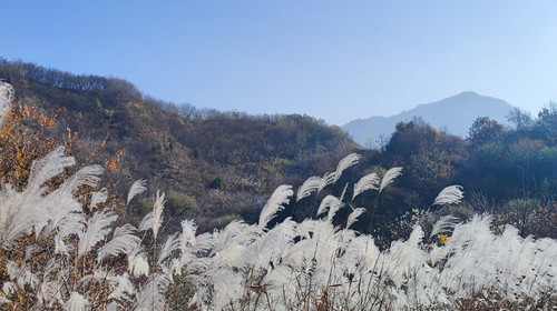 【西安一周一山·三寺穿越】14KM徒步+三寺连穿