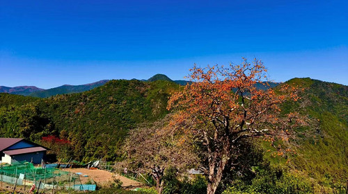 【行走日本·熊野古道5日】日本+熊野三山+那智瀑布+胜浦洞穴温泉+胜浦渔港+白浜市场+千叠敷+円月岛拱崖+桥杭岩+朝圣者之路日本熊野古道徒步5日