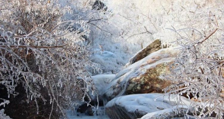 【北京一周一山·鳌鱼沟冰瀑】10公里初级徒步丨小众山谷绝美冰瀑奇观+冬日值得打卡的梦幻奇境！
