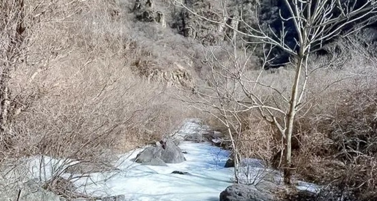 【北京一周一山·鳌鱼沟冰瀑】10公里初级徒步丨小众山谷绝美冰瀑奇观+冬日值得打卡的梦幻奇境！
