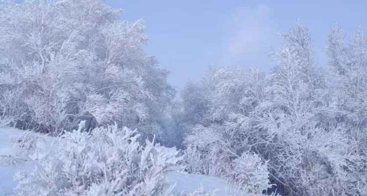 【北京100公里山野·东灵山站】8公里中级徒步丨穿林海雪原+踏雪京西珠穆朗玛+挑战北京最高峰2303