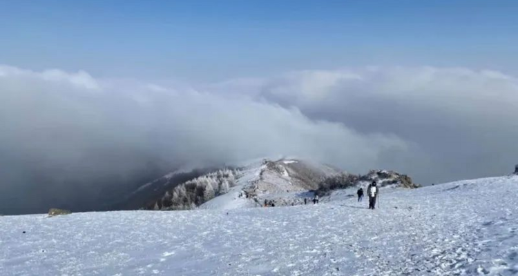 【北京100公里山野·东灵山站】8公里中级徒步丨穿林海雪原+踏雪京西珠穆朗玛+挑战北京最高峰2303