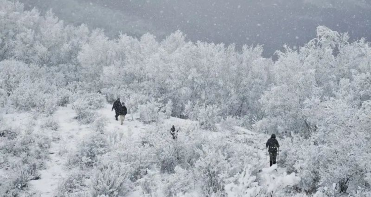 【北京100公里山野·东灵山站】8公里中级徒步丨穿林海雪原+踏雪京西珠穆朗玛+挑战北京最高峰2303