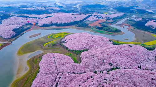 【行走贵州·又见樱花4日】 贵阳+平坝樱花+三江古道+羊皮洞瀑布+花季小众秘境山地徒步4日