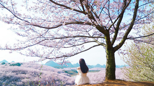 【行走贵州·又见樱花4日】 贵阳+平坝樱花+三江古道+羊皮洞瀑布+花季小众秘境山地徒步4日