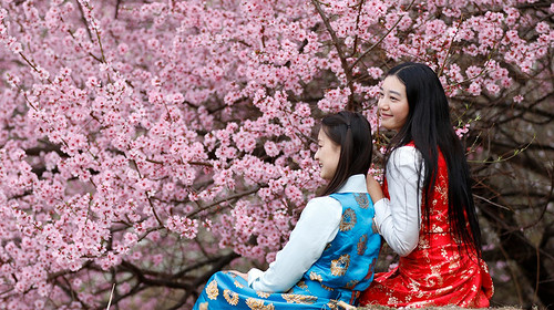 【大美梨花·春染川西】四姑娘山双桥沟+牛背山+金川梨花+墨石公园+甲居藏寨+中路藏寨+红海子+鱼子西+8人纯玩小团+赏梨花+观贡嘎雪山6日半自由行