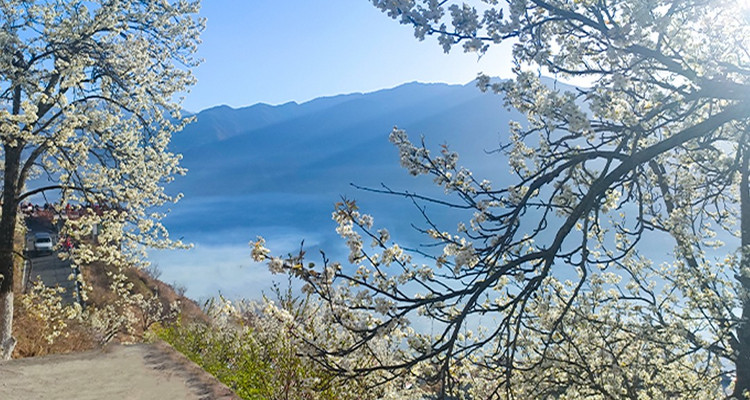 【大美梨花·春染川西】四姑娘山双桥沟+牛背山+金川梨花+墨石公园+甲居藏寨+中路藏寨+红海子+鱼子西+8人纯玩小团+赏梨花+观贡嘎雪山6日半自由行